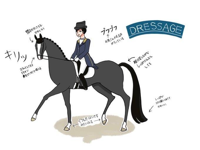 カントリー 高画質 のtwitterイラスト検索結果 古い順