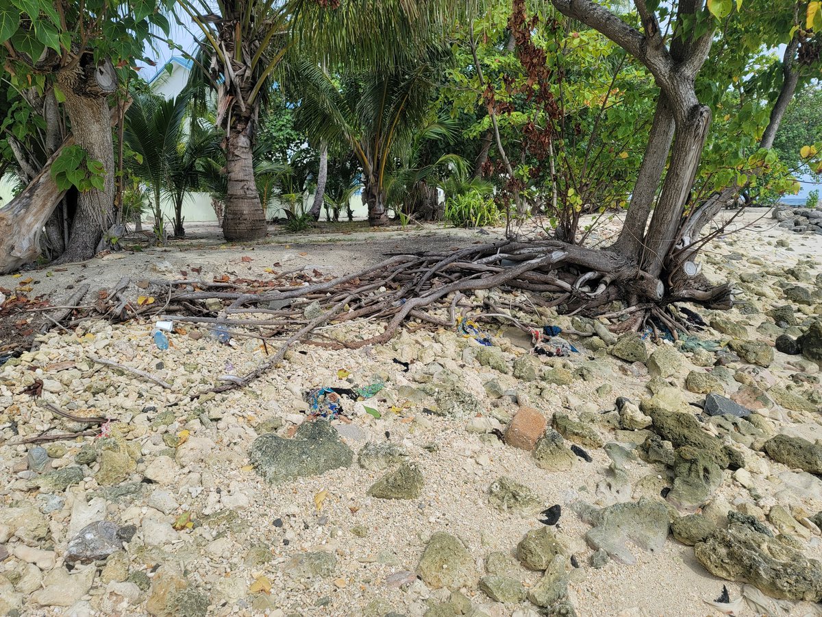 Lhabey2's tweet photo. 13 މިލިޔަން ޕްރޮޖެކްޓް. 1 އަހަރު ތެރޭގައި ހާލަތު. މިހާރުގެ ހާލަތު.@MohamedNasheed @ibusolih @AslamAslamtey @raajjemv https://t.co/mpMWgEkWGi