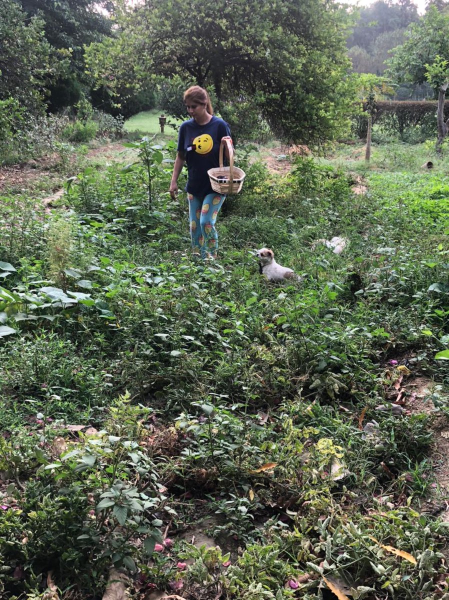 Priyajayant1's tweet photo. The only real solution to conserve nature is to create a Conscious Planet, that is every one of us is a Conscious existence.  #WorldNatureConservationDay https://t.co/HmYKNseVJS