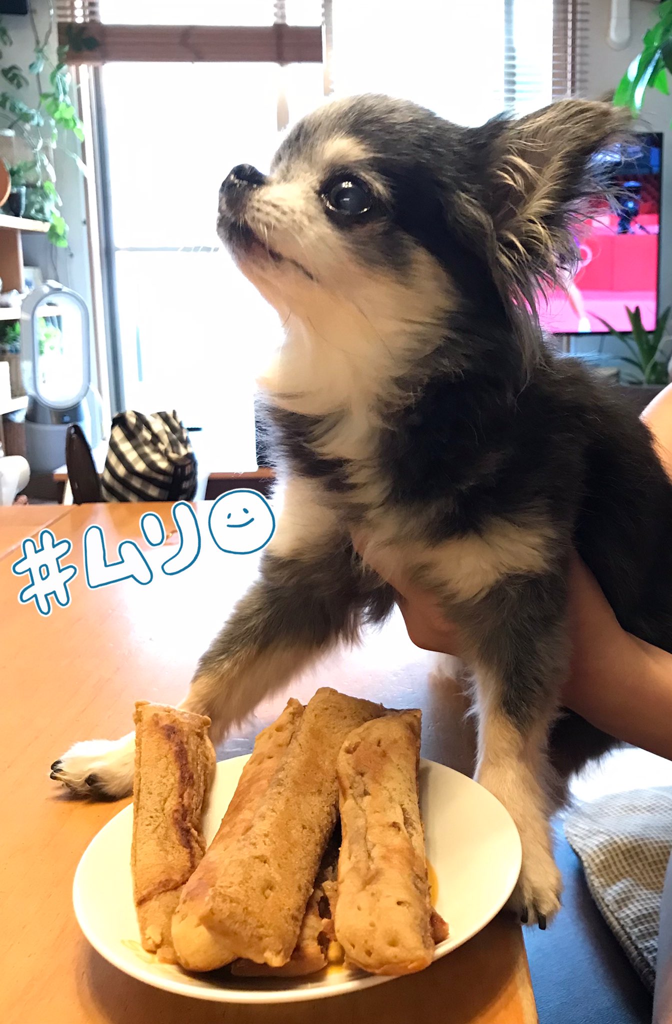 ポッポ焼き Twitter Search Twitter