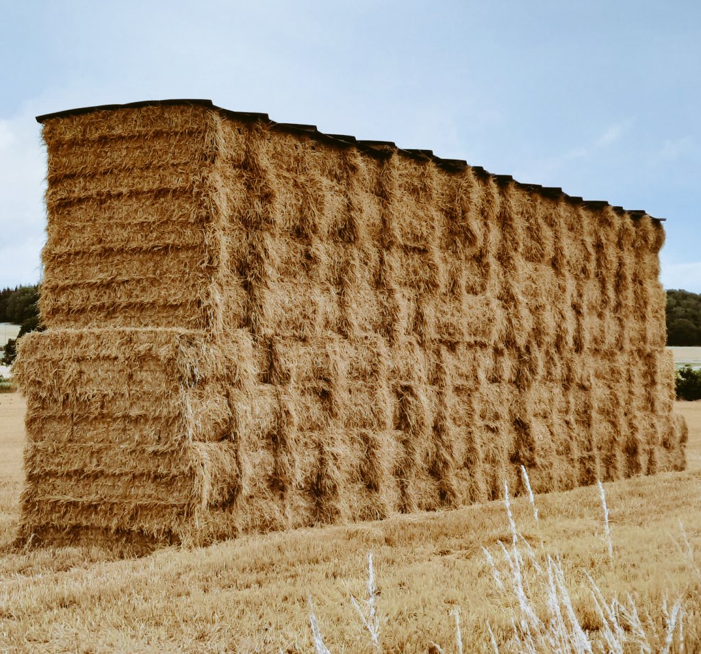 Nice stack of barley straw @hay_caps Providing the weather protection