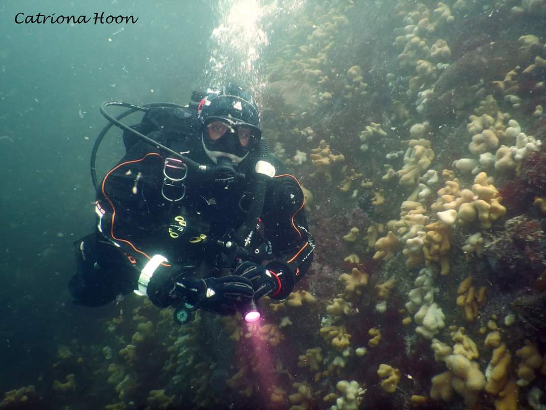 chloevblackman's tweet photo. More shots from last Friday's #dive charter to the #Garvellachs, this time underwater! 🌊🌊 All snapped 📸 by my fabulous dive buddy @CatrionaHoon. #Scottishdiving never disappoints 😍😍 @BSACdivers @HisaArgyllSAMS #innerhebrides #westcoast #scuba #livetodive https://t.co/a5kK0lfYzU