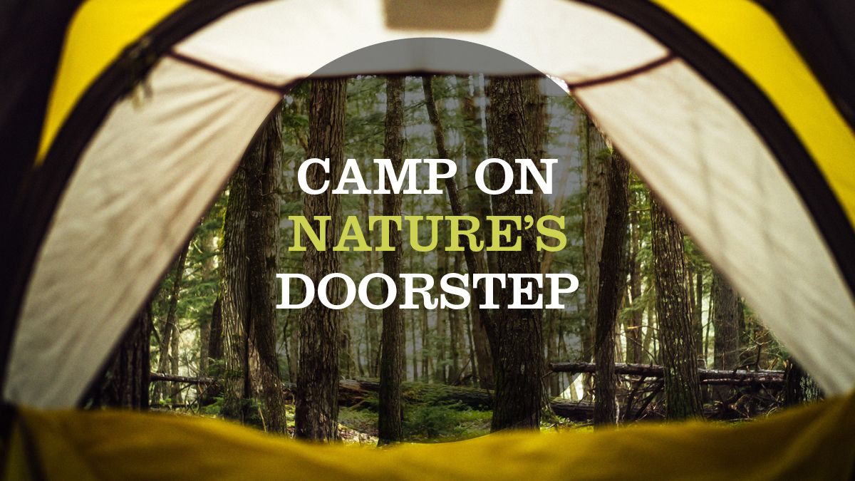 Our campsite is nestled in the heart of Epping Forest, so we're right on nature's doorstep! If you're looking for a relaxing get-away surrounded by nature, there's no better place.

Book now! buff.ly/3bnI65E

#Camping #Campsite #EppingForest #Nature