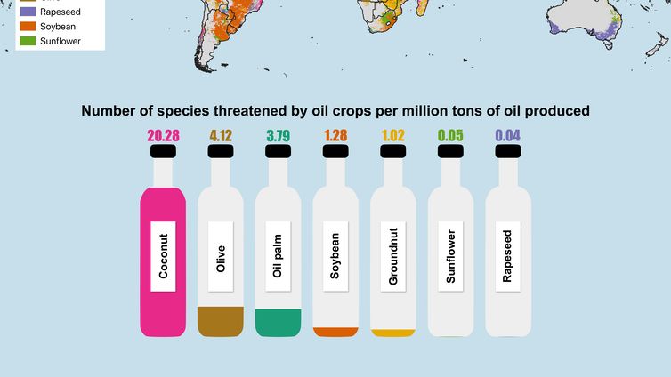Semua tanaman dan komoditas memiliki konsekuensi tersendiri terhadap lingkungan. Dapatkan penjelasannya dalam artikel ini bit.ly/2ZJ7Hzz #NowReading