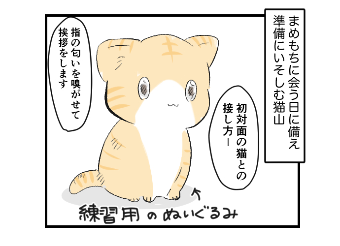 #挨拶365
#7月もねこねこマンガ 28/30

猫のまめもち
まめもちとマブダチ

まめもちに会う日が待ち遠しい猫山くん。準備に余念がありません。

今日もおつカレー🍛様です。 