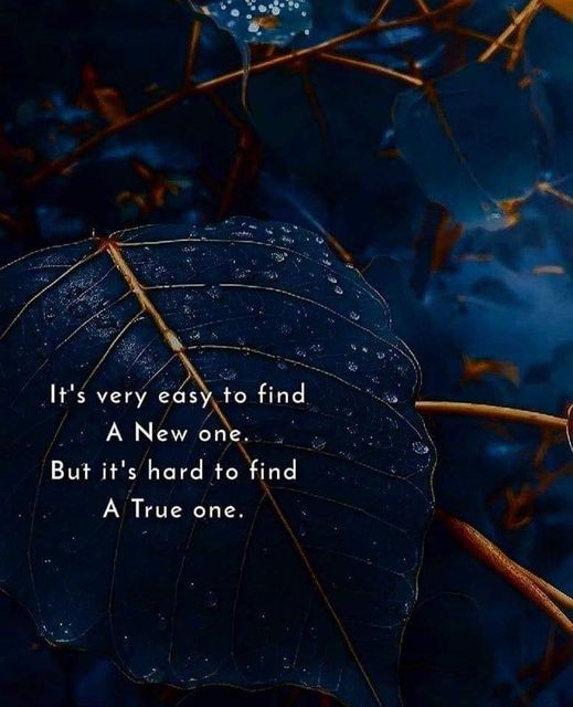 TheMindsJournal's tweet photo. A true one!
#mindsjournal #themindsjournal #trueone https://t.co/ILzGCX1CQa
