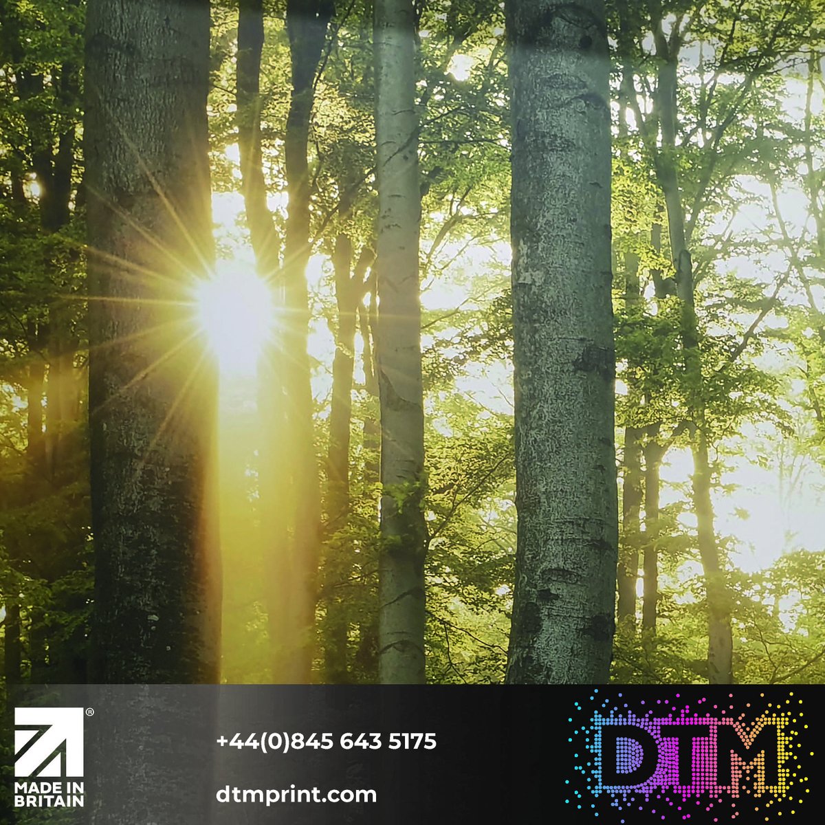 "I am at home among trees"
               J.R.R Tolkien

Bring the outside in with the help of our wall cladding.

#directtomedia #largeformatprint #digitalprint #wallcladding #graphicdeisgn #creative