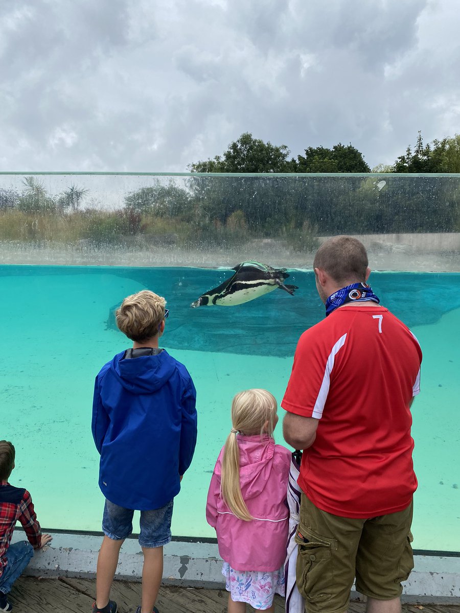 CathWalker13's tweet image. Had a great day @chesterzoo yesterday . Really good fun #knackered #lotsofexercise