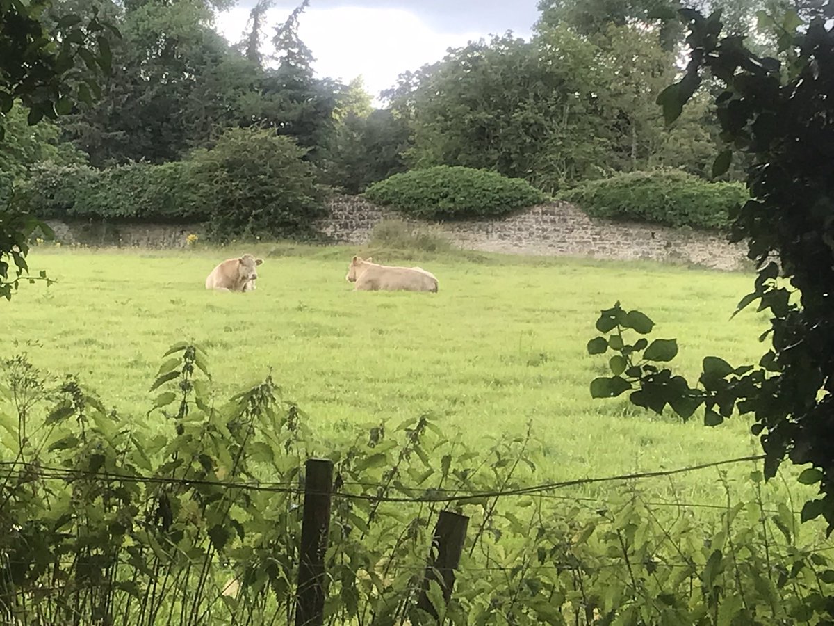 BettinaRezania's tweet photo. Day 896 of #900daysofwalking #100daysofwalking #300crew https://t.co/d04fsy6xon