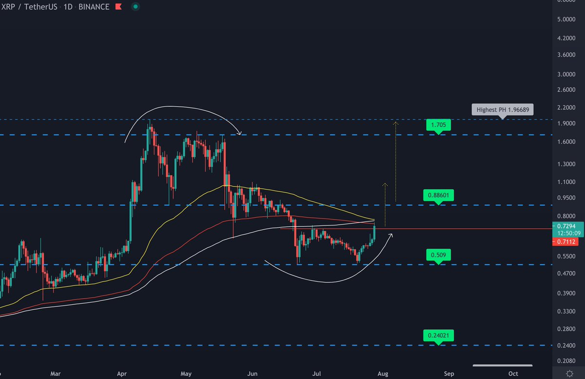 Shelby tweet media