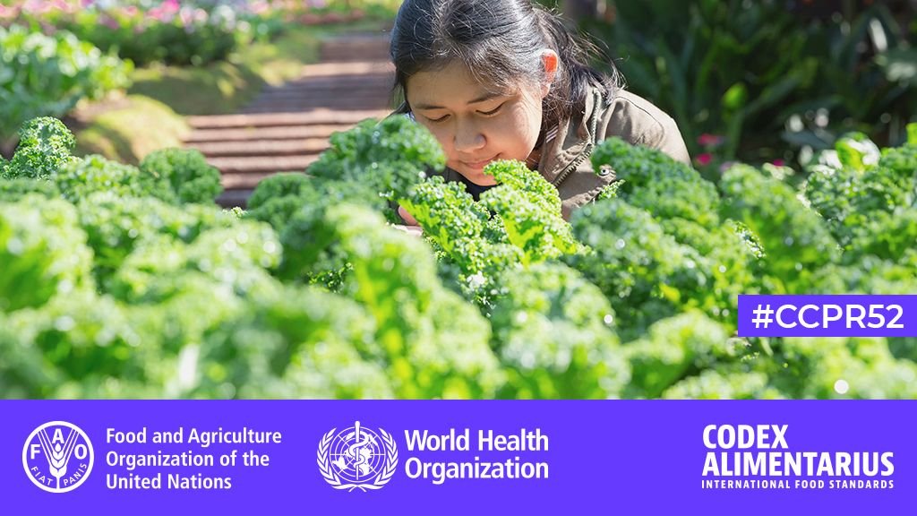 FAOWHOCodex's tweet photo. ποΈ | Day 3β£ at #CCPR52. On today's agenda:
πΈ MRLs for pesticides in food and feed
πΈ Establishment of Codex Schedules and Priority Lists of Pesticides for Evaluation / Re-Evaluation by JMPR
ββΉοΈβ‘οΈ https://t.co/hHxsFckmBq
#FoodSafety | #FoodTrade https://t.co/0D6XeVtJDG