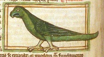 laurelworlds's tweet photo. @NorthernParrots The generic nature of illuminations of parrots (seen here in this one from 1236) was the primary reason why Columbus confused the iguaca (Puerto Rican parrots) he was seeing with the India-origined Psittacula parakeets common to medieval European aviculture. https://t.co/7R91vTXIfo