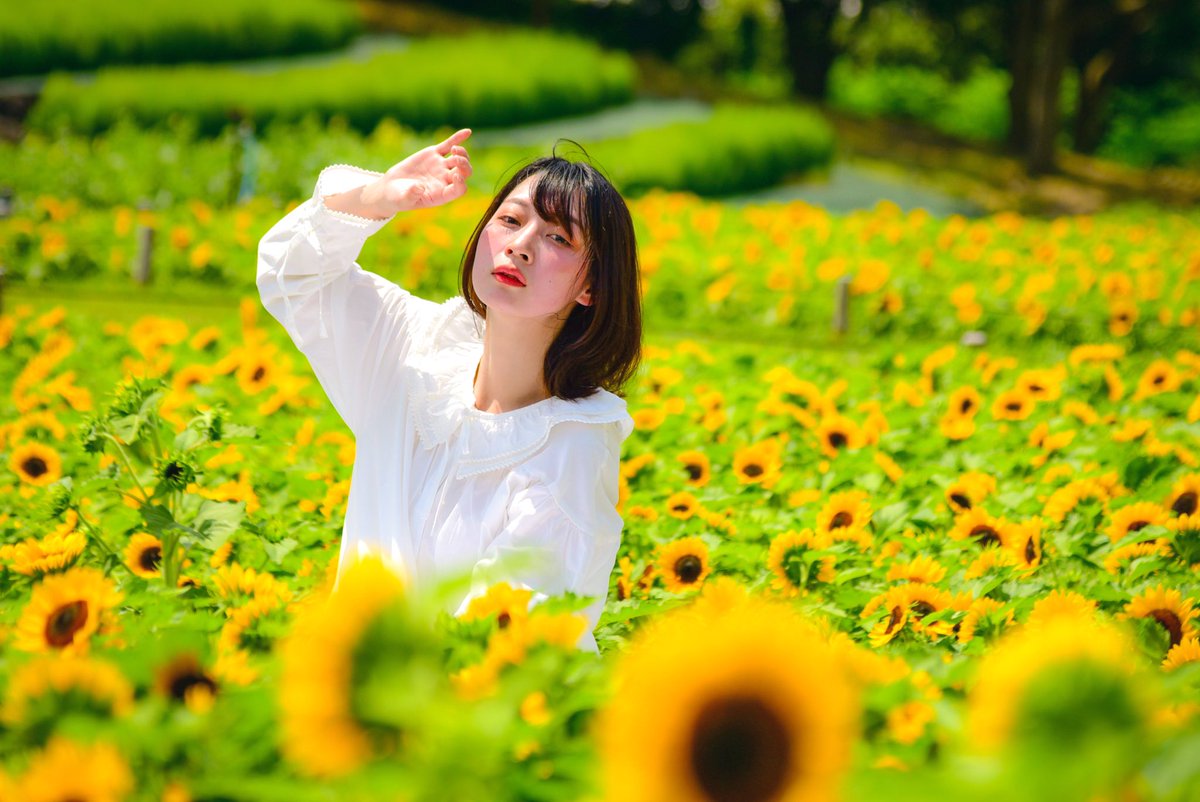 Yoshi18361's tweet photo. #中井静華
@ShizukaUp
#BlueBreeze https://t.co/sahEplpKpC