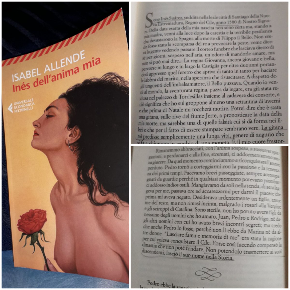 #Readingtime narrazione epica magistrale e avvincente, quasi una "eneide al femminile" tra grandi piccole #storie nella #Storia per lasciare fama e memoria. Splendido #viaggio per ricordare dove può portare la #conquista di nuovi mondi! #cile #passionelettura  #isabelallende