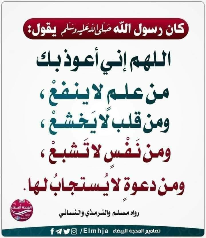 alsallabi1's tweet photo. https://t.co/7NAX78eYlR