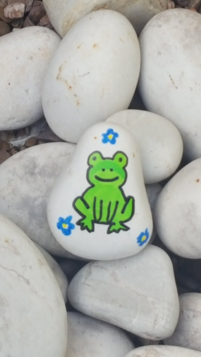 ShedCounselling's tweet photo. I was lucky enough to be able to meet one of my online clients over a 100 miles away from my Garden Shed. His sessions are coming to an end and I asked him to paint a pebble to go in my garden. We ❤ frogs.

#counselling #youngpersoncounselling #MentalHealthMatters #frogs https://t.co/SMH9VNVMlP