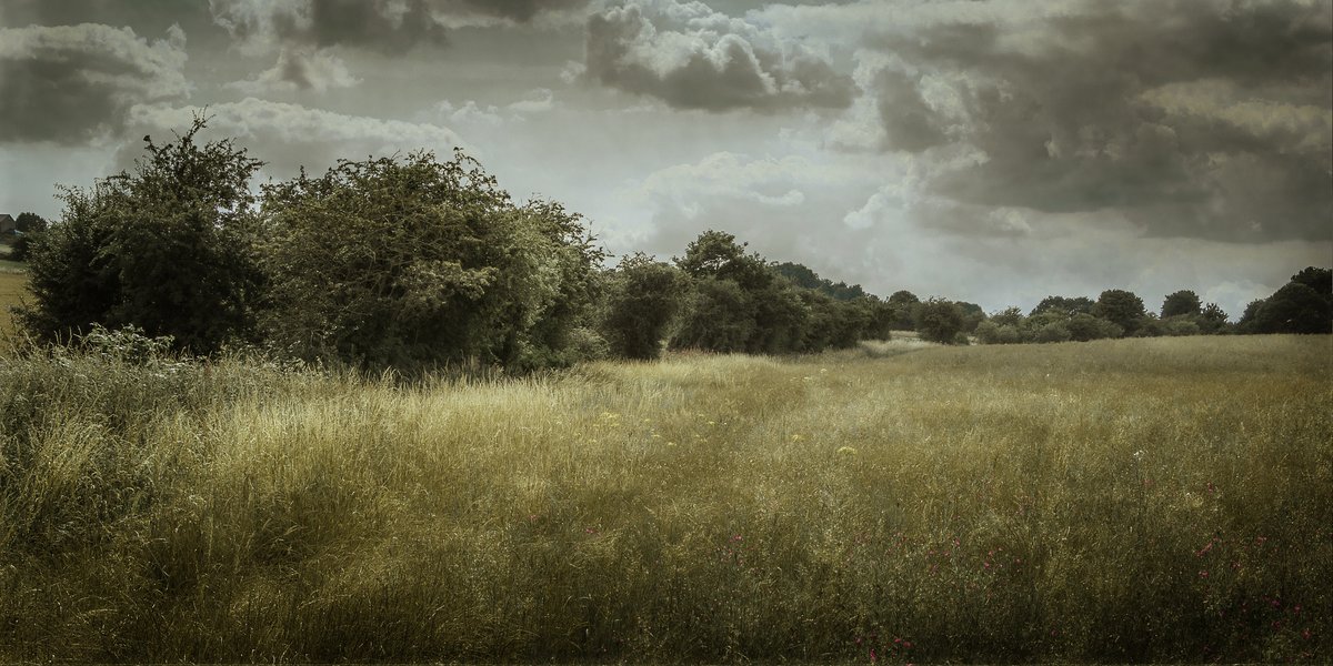 nomoth (@apevisions) on Twitter photo 