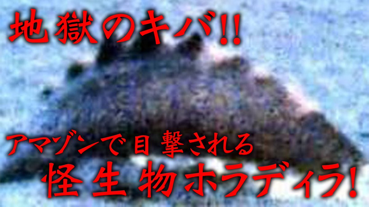 中沢健 作家 uma研究家 中沢健のuma オカルトチャンネル 最新回 アマゾンで目撃された地獄の牙 未確認生物ホラディラ を公開しました 今回は 背びれが特徴的な水棲獣uma ホラディラ について解説しますよ 動画はコチラ 中沢健 作家 uma研究家 中沢健のuma オカルトチャンネル 最新回 アマゾンで目撃された地獄の牙 未確認生物ホラディラ を公開しました 今回は 背びれが特徴的な水棲獣uma ホラディラ について解説しますよ 動画はコチラ