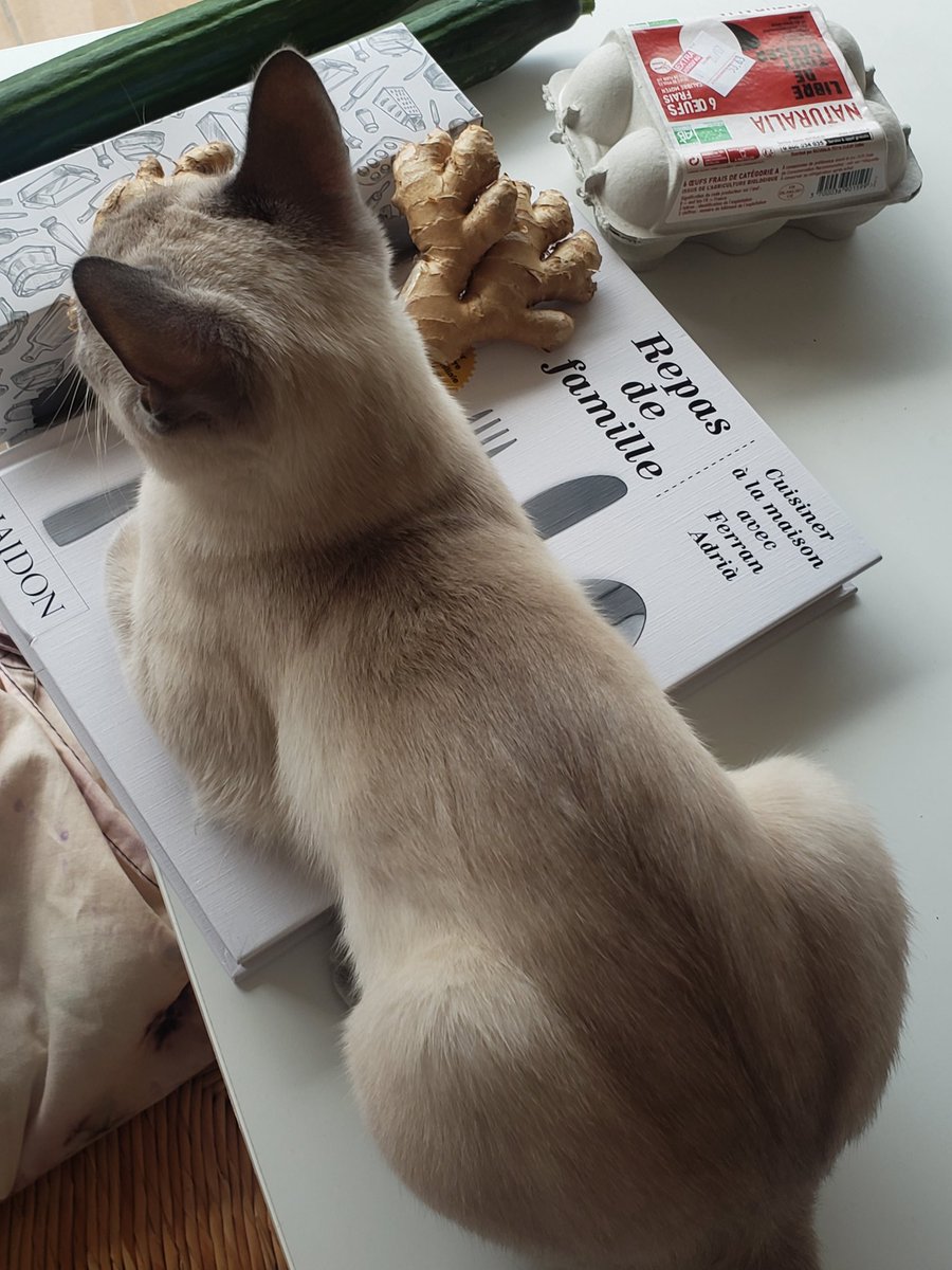 너무 정신없이 보내며 트위터도 까먹은 나.... 진짜 잘 지내고 있다. 파리에 돌아오길 너무 잘했다 싶을 정도로 :)  그리고 우리 냥이와 점점 사랑에 빠지고... 😣