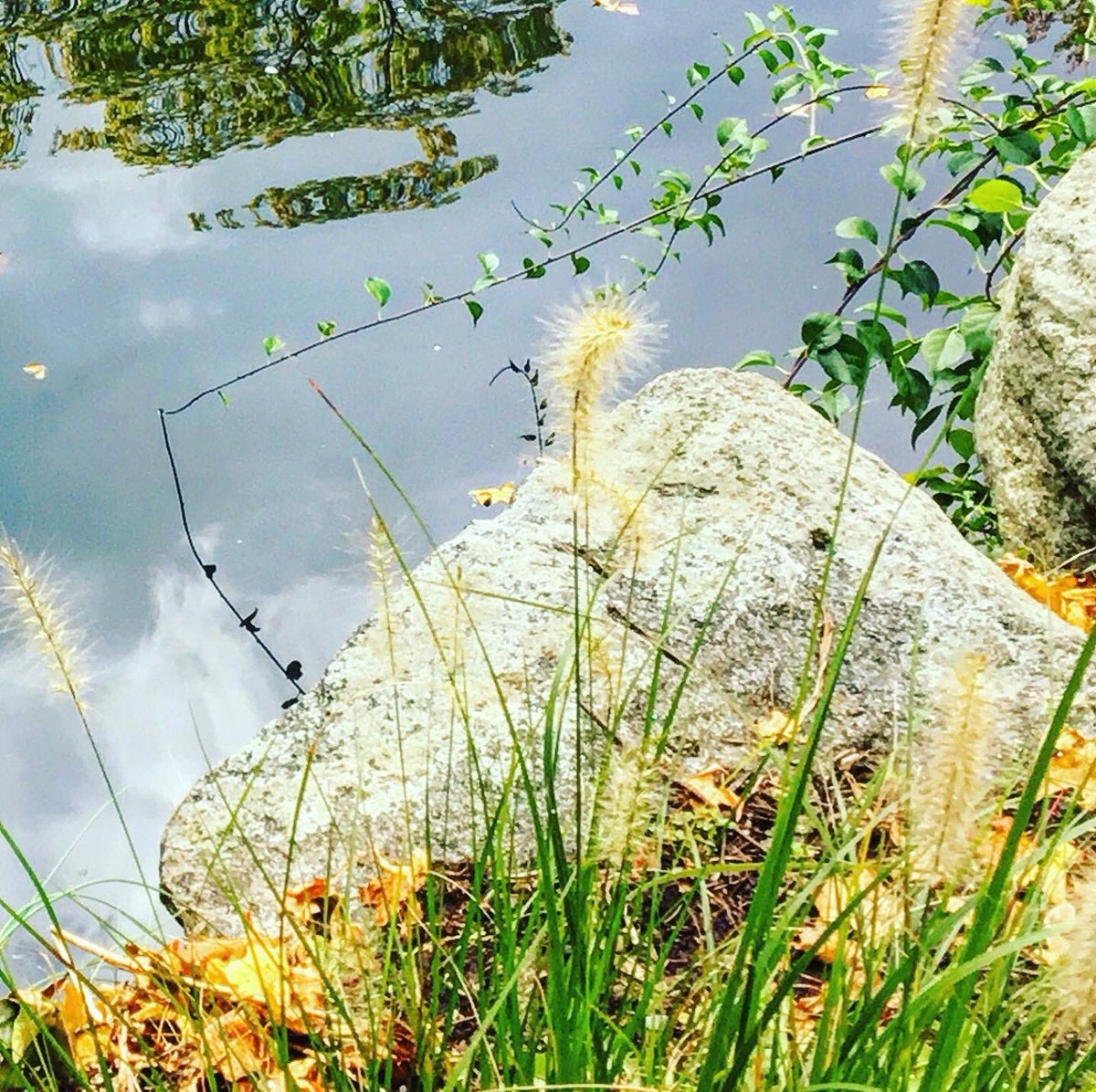 IamPamperedRose's tweet image. Each day is an opportunity for reflection…
Joanne Michael-Logan, CHSMC
Certified Holistic Stress Management Coach 
#JournalDaily #Daily #DailyInspiration #DailyMotivation #Journaling #WritingCommunity #Writing #writingprompt #hope #Gratitude #GratitudeJournal #Selfcare #Wellness