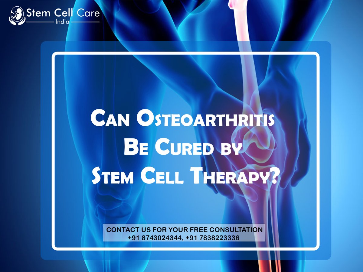 StemCellCare's tweet photo. Can #Osteoarthritis Be Cured By Stem Cell Therapy?
To know more about Osteoarthritis Treatment, visit https://t.co/UAO0Yl8dbF
#stemcellforosteoarthritis #osteoarthritistreatment #osteoarthritistestimonial #stemcellsafe https://t.co/9qrce7Juts