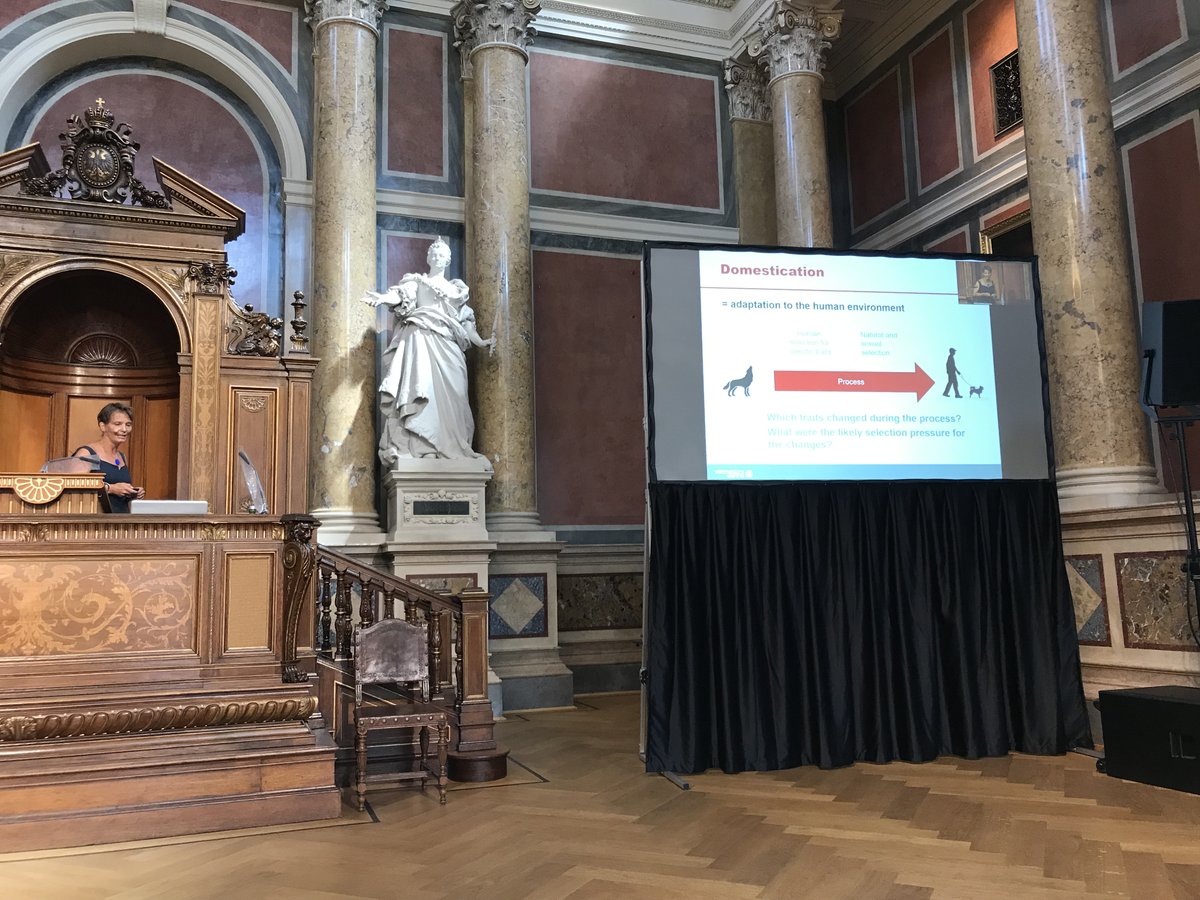 Helmut Leder (@tumlehredel) on Twitter photo Opening Session of the Cognitive Sciences Conference in Vienna! Great keynote by Friederike Range, comparing dogs and wolves Opening Session of the Cognitive Sciences Conference in Vienna! Great keynote by Friederike Range, comparing dogs and wolves
