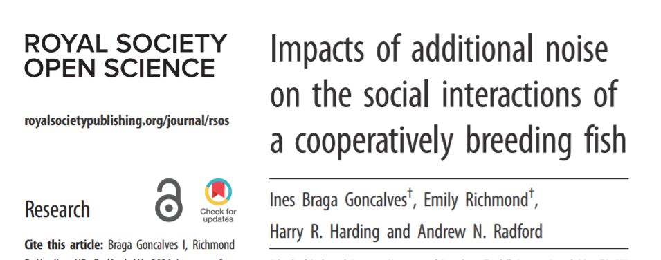 ⭐️NEW paper alert⭐️ Combining two of our main research themes - outgroup #conflict &amp; #noise pollution - we examine how social interactions are affected by additional noise.  🔊🐠 #RSOS <a href="/RSocPublishing/">Royal Society Publishing</a> <a href="/EmilyRi75446053/">EmRchmnd</a> Ines Goncalves <a href="/HasHarding/">Harry Harding</a> doi.org/10.1098/rsos.2… #OpenAccess