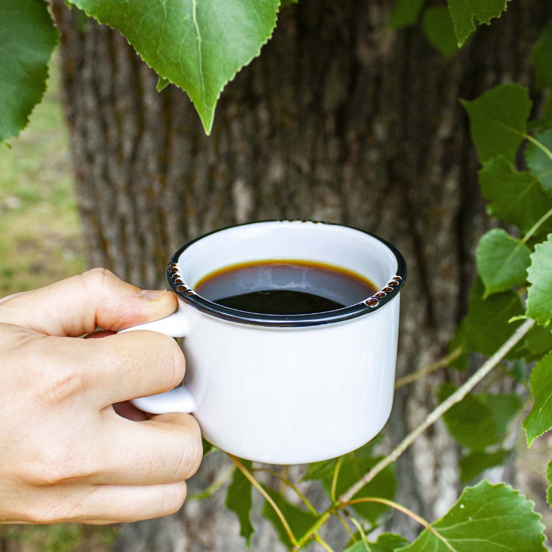 Buy one product ☕ plant one tree 🌳 We committed in 2011 to planting a tree for each and every coffee bag we sell on our website. 

Thank you for helping us in our goal of planting as many trees as possible, all while enjoying our coffees! 💚