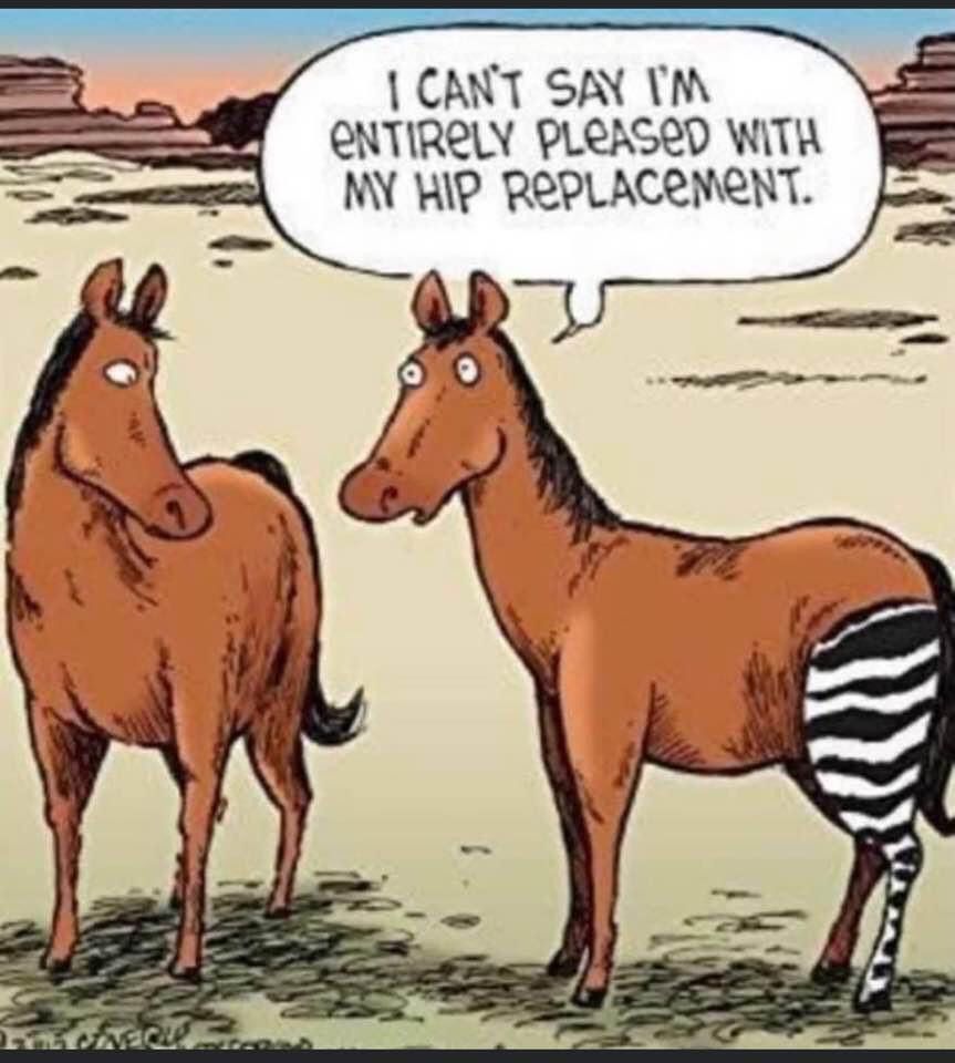 Lord Sugar tweet media