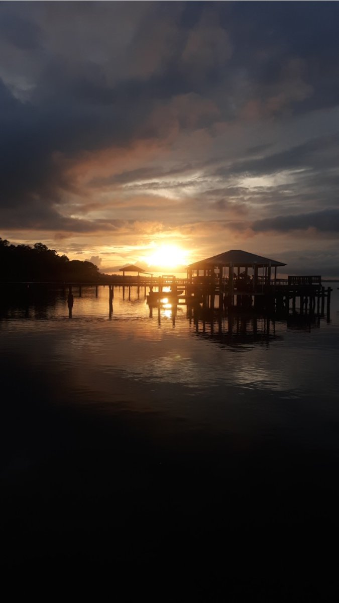 Take time and enjoy his creation. <a href="/wjxt4/">News4JAX</a> #duuuval #Jacksonville #workflow #nfms