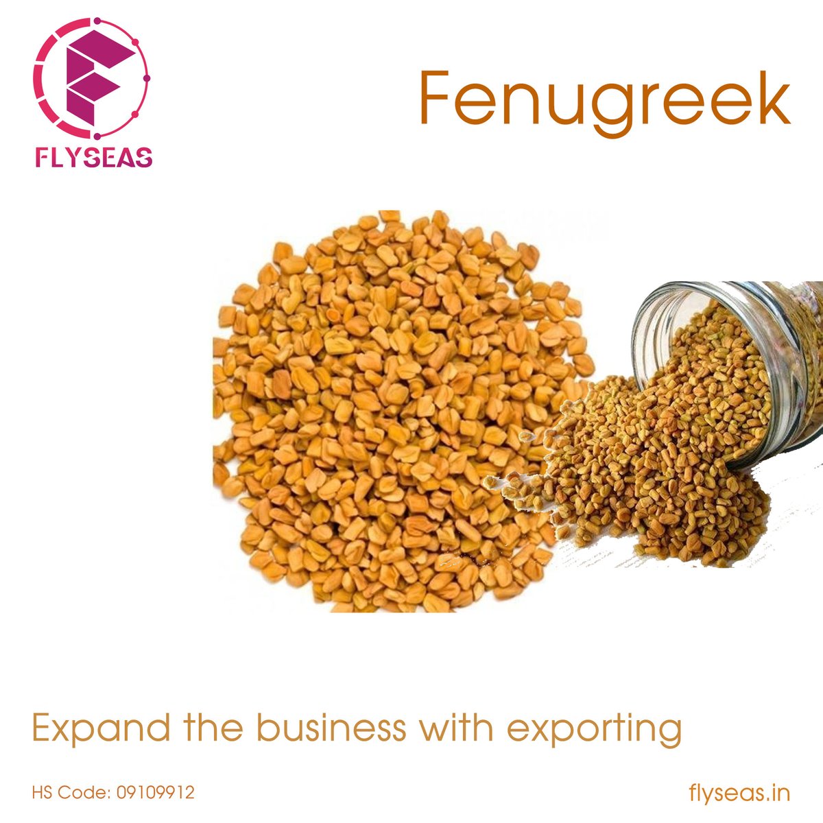 Flyseas1's tweet photo. Fenugreek is an Ayurvedic herb that is said to have been used and advocated in Indian medicine from ancient times.
#Fenugreek #bestQualityFenugreek  #FenugreekExport #FenugreekImport #FenugreekFarm #food #fruits #rice #brownrice #container #covid #fruitsbasket #fruitdelivery https://t.co/zdFNddZbZn