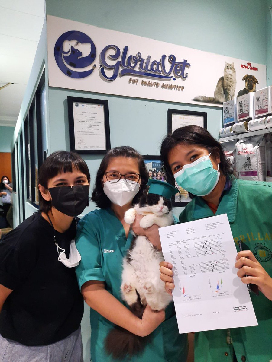 미원 Miwon FIP Survivor tweet media