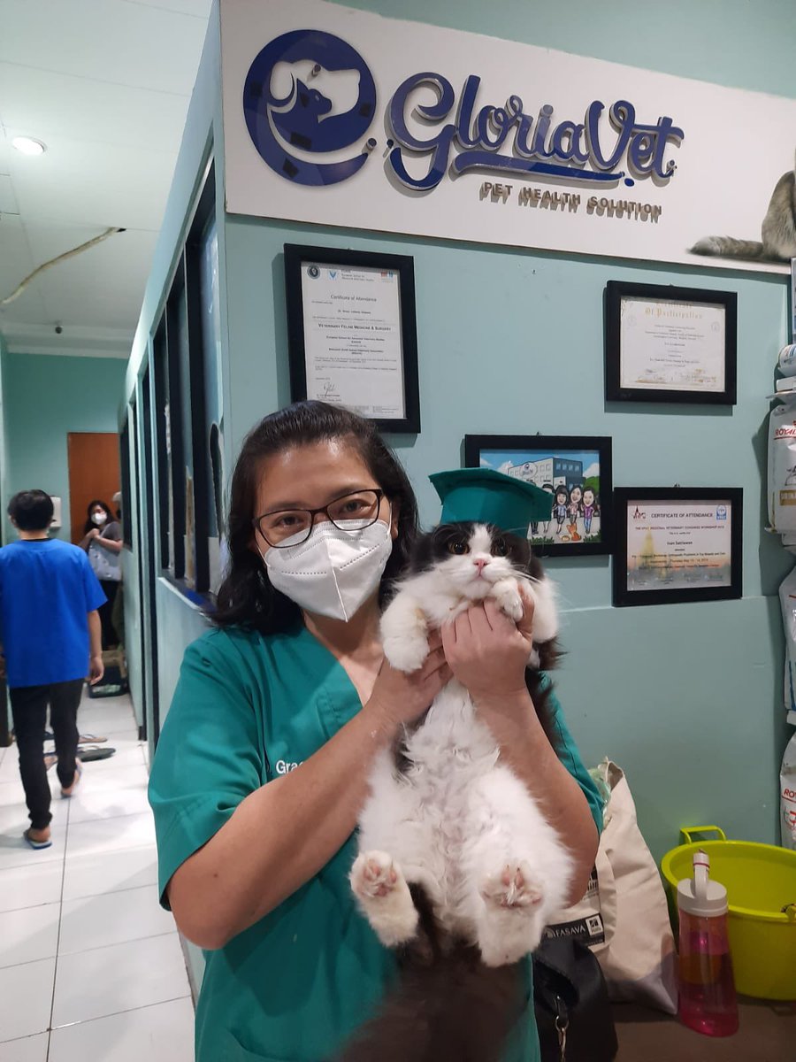 미원 Miwon FIP Survivor tweet media