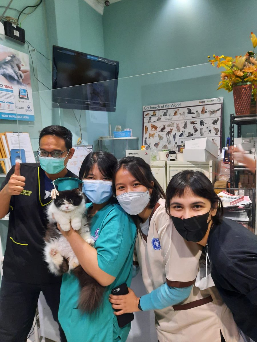 미원 Miwon FIP Survivor tweet media