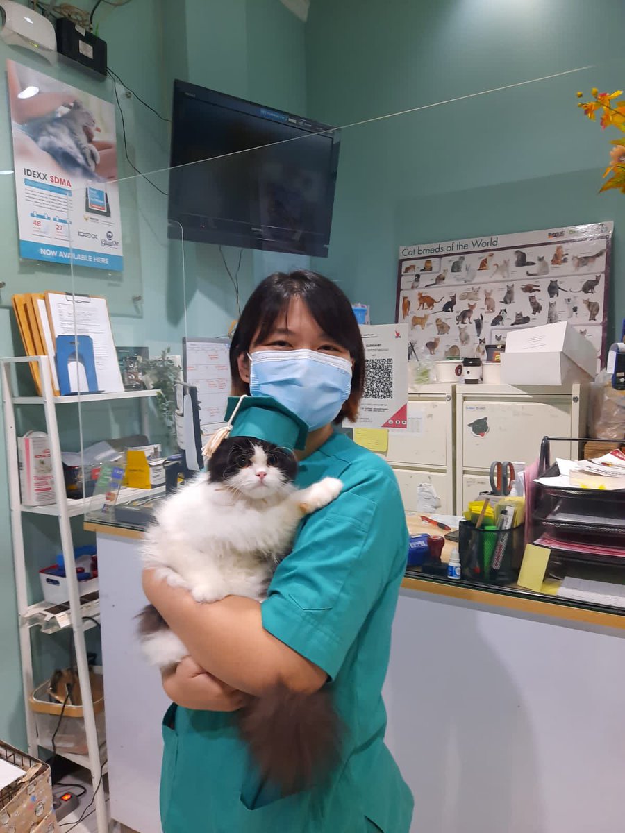 미원 Miwon FIP Survivor tweet media