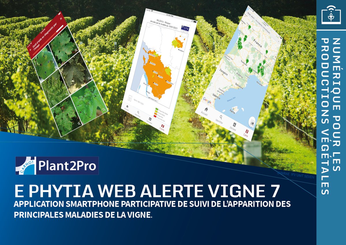 Plant2Pro tweet media