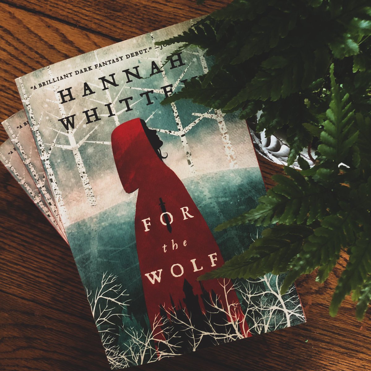 I have….so many author copies so let’s do a giveaway
✨RT/F
✨follow me on IG (same handle)
✨int’l okay 
✨winner gets a signed UK edition AND US edition