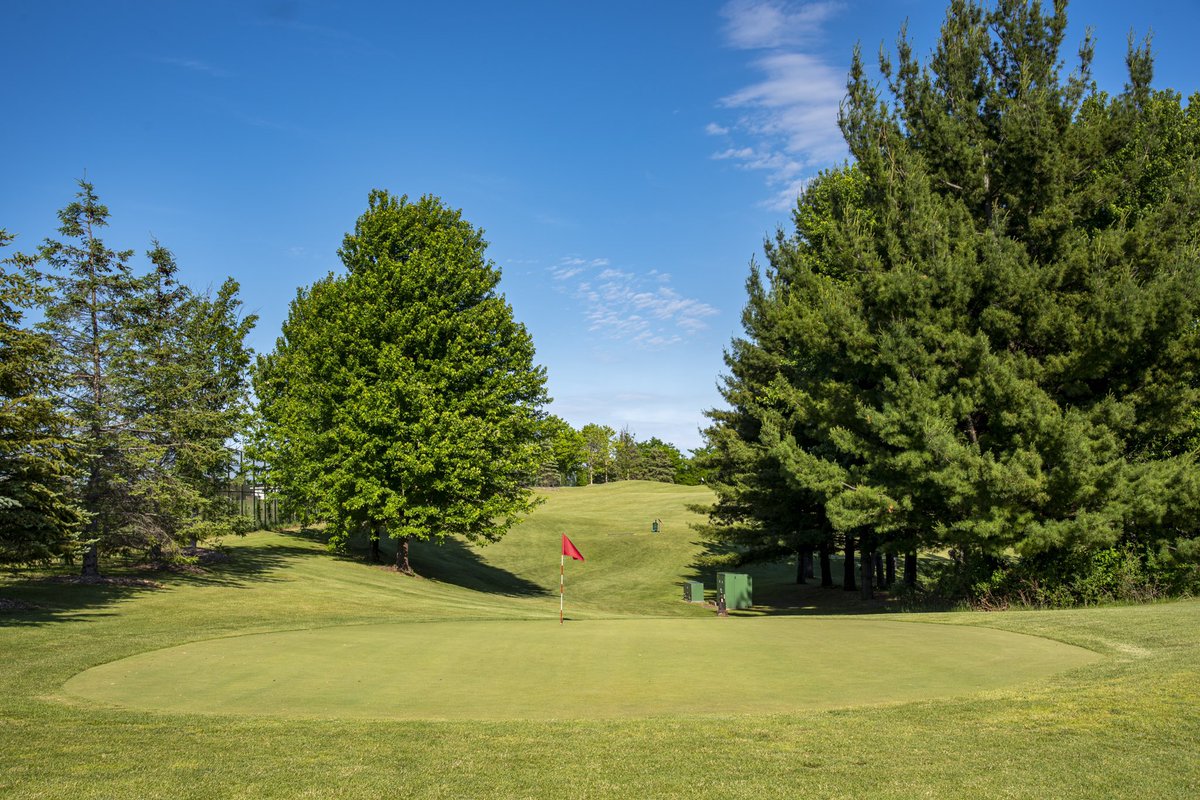 The Royal Club tweet media