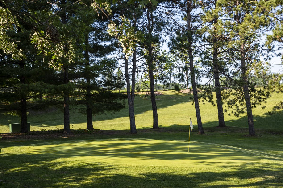 The Royal Club tweet media