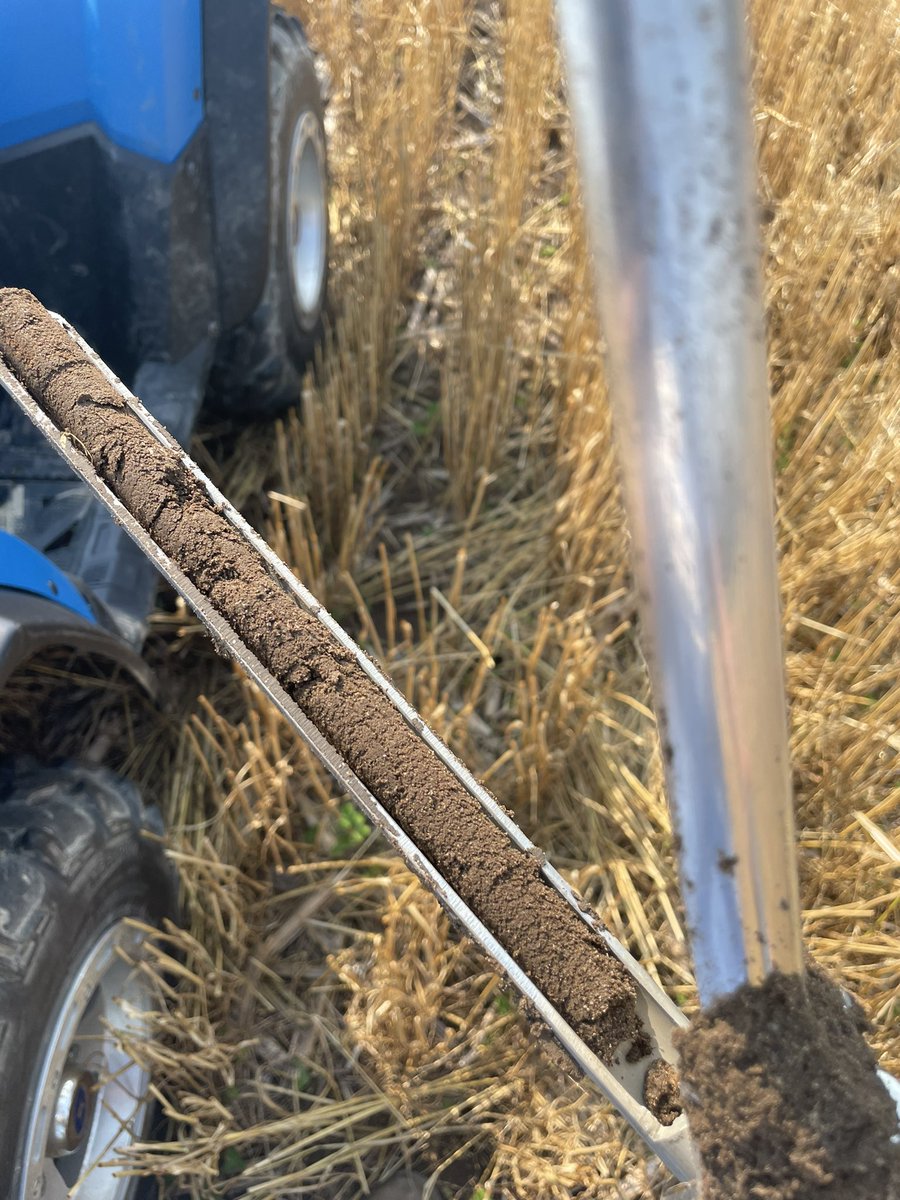 Well the rain may have put a pause on harvest but we have had some beautiful conditions for soil sampling! Great way to scout for weeds as well and plan a burndown.