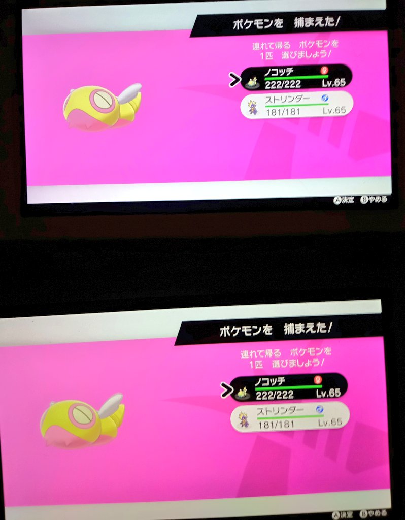 ソードシールド ノコッチの種族値 わざ 特性など能力と入手方法 ポケモン剣盾 攻略大百科 ソードシールド ノコッチの種族値 わざ 特性など能力と入手方法 ポケモン剣盾 攻略大百科