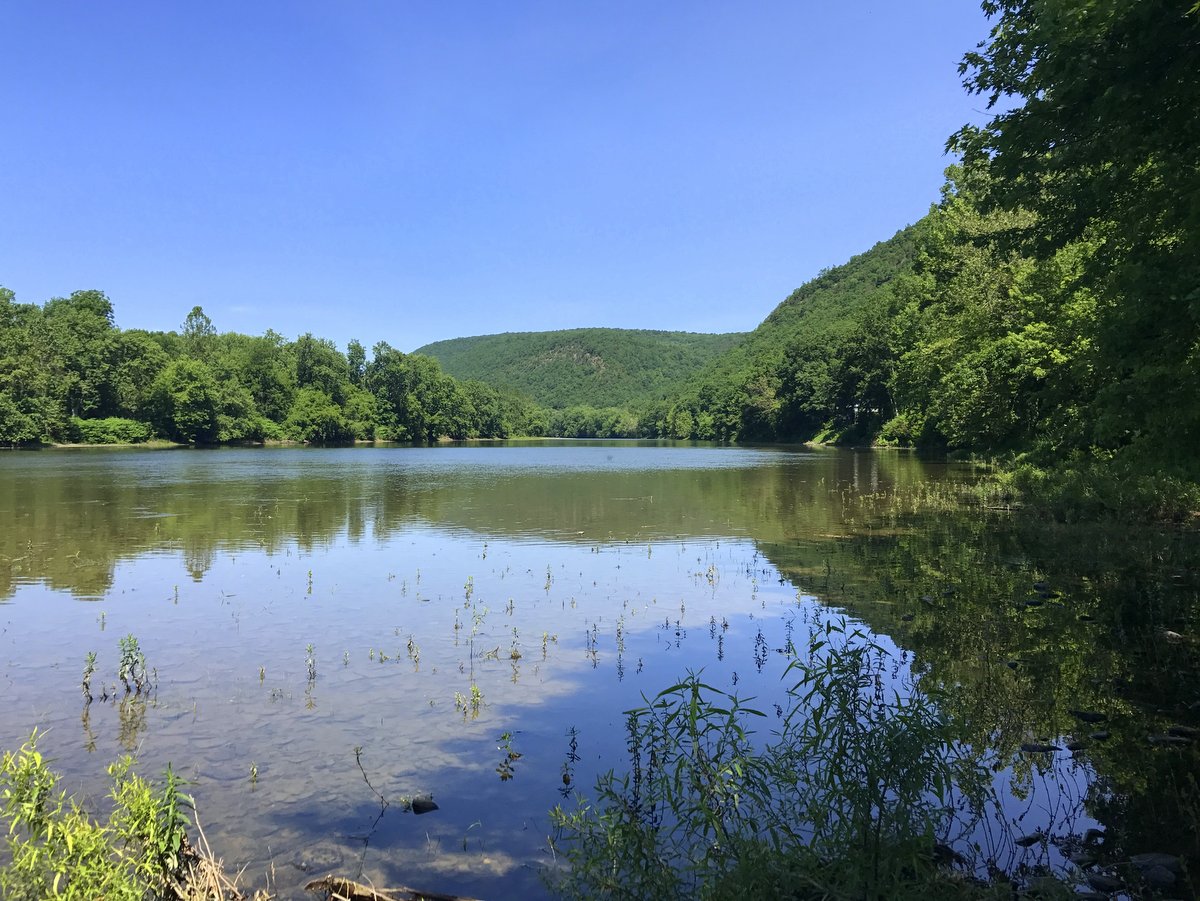 Good news for the Southern Tier! Thanks to a partnership between the <a href="/FLLandTrust/">FingerLakesLandTrust</a> and the Town of Big Flats, 1,000 feet of frontage on the Chemung River are now permanently protected. See the story: fllt.org/partnership-pr… #southerntierny