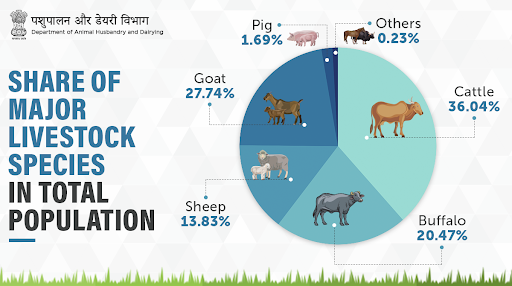 🐄🐃🐖🐂🐐
According to the #livestock census of 2019, #NewIndia's total #LivestockPopulation grew by 4.8% since the last census in 2012!

#AnimalHealth #AnimalWealth