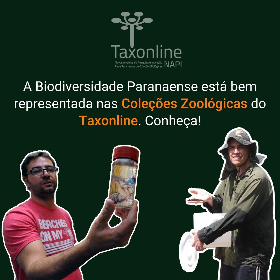 Rede_Taxonline's tweet photo. O Estado do Paraná possui um histórico bastante rico em estudos que contemplam a biodiversidade. Visite as Coleções Zoológicas do Taxonline através do link abaixo ou clicando no link da bio!

https://t.co/xTxTq2X9zF

#Taxonline #zoologicas https://t.co/enLRwysyX3