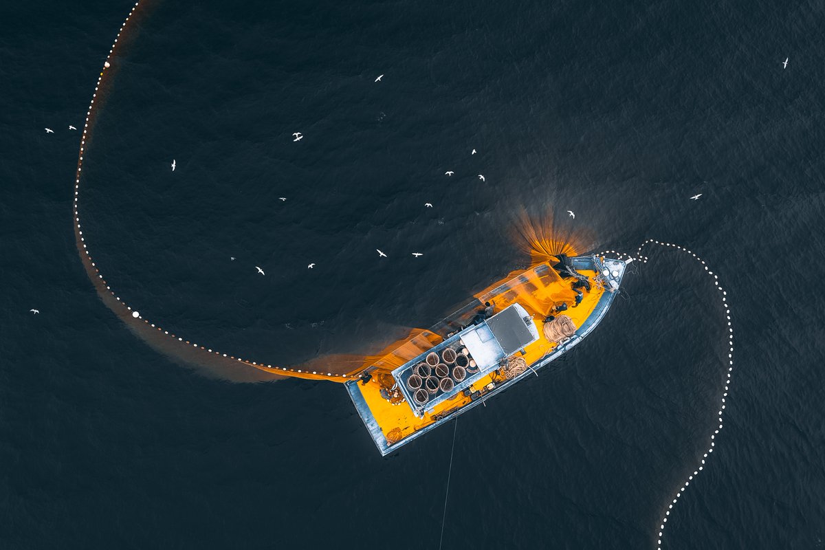 Read how researchers of fishery management use Artelys Knitro in this article from “Journal of Environmental Economics and Management”. 

Link through the article : shorturl.at/ruN37

#Knitro #Optimalharvesting #Stochasticprogramming #MSY