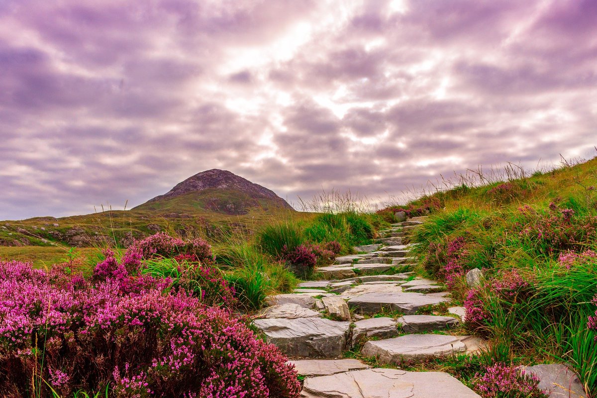 #Connemara is a rainbow of color! 🌈 
-
Have you visited Connemara? 😍 
-
It is one of our most popular tours! DM us today to learn more.🙂

#IrishTours #BestofIreland #ExploreIreland