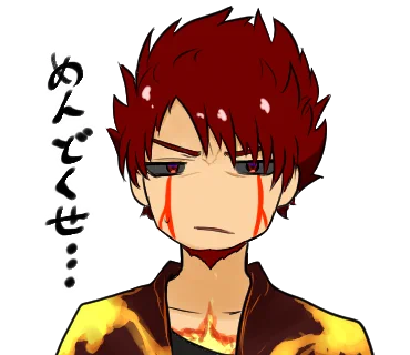 今日の 