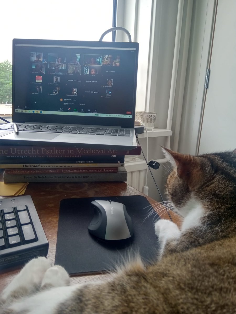 RenskeHoff's tweet image. Suze loves hearing @malcolmcanmore and @alextheknitter speak about early modern translations! #MovingTexts2021 #SHARPcats