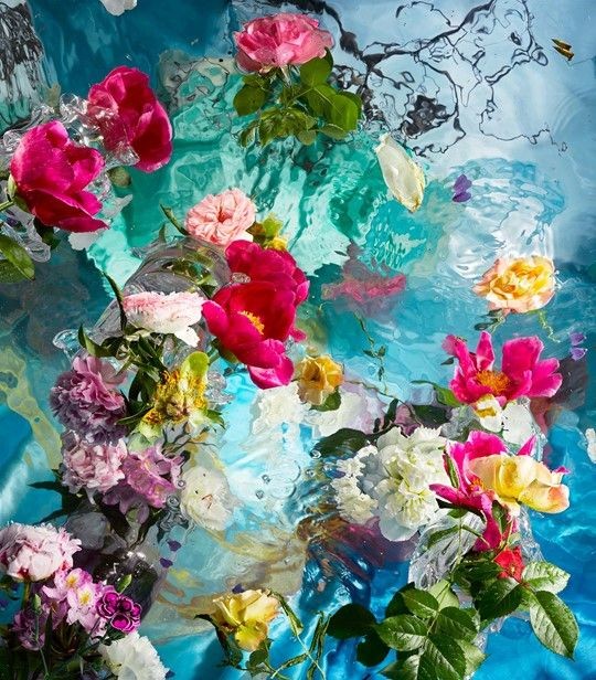 Bir umutla açar çiçekler

🌺🌺🌺 #Dembaş 🌺🌺🌺