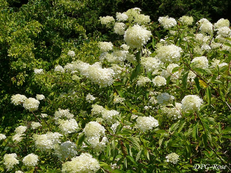 ミナヅキ Twitter Search Twitter ミナヅキ Twitter Search Twitter